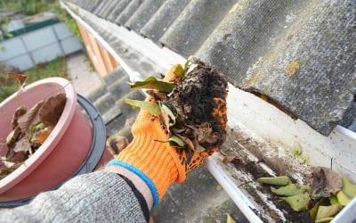 4 Tips to Make Cleaning Gutters Easier