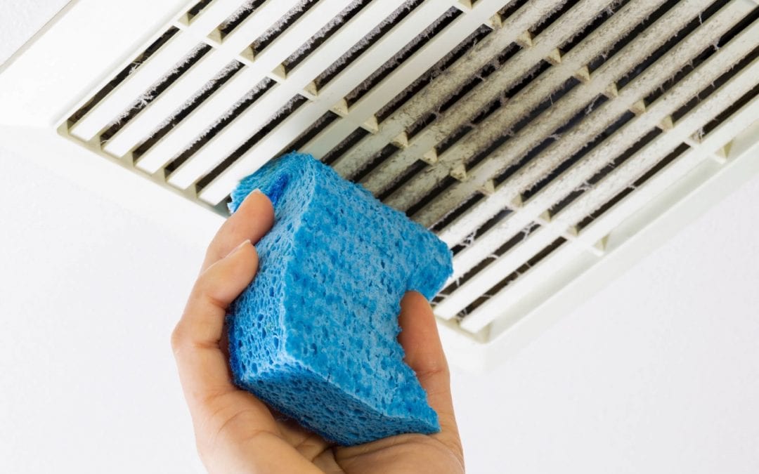 7 Ways to Improve Indoor Air Quality
